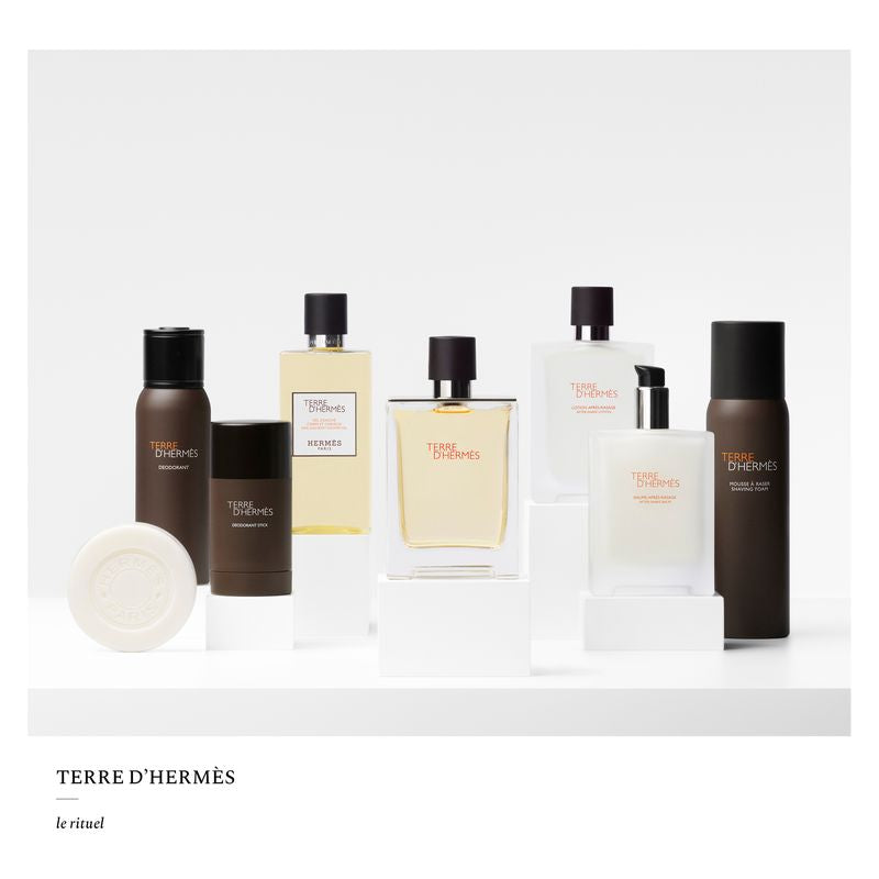 Hermès Terre D'hermes Deodorant Stick