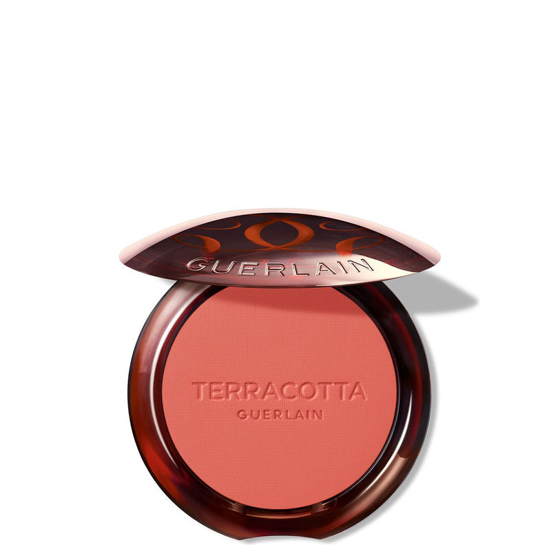 Terracotta Blush