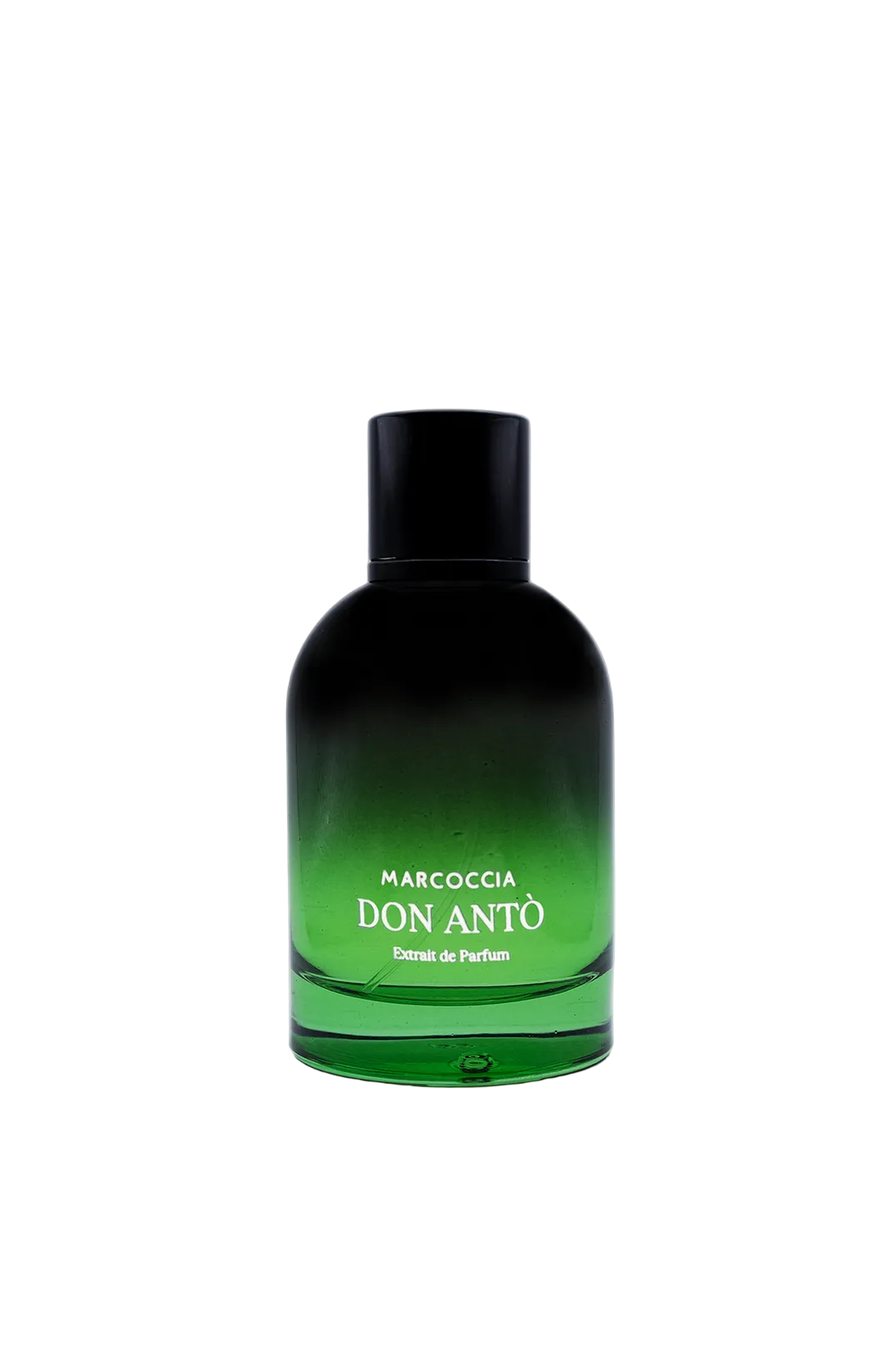 DON ANTO`