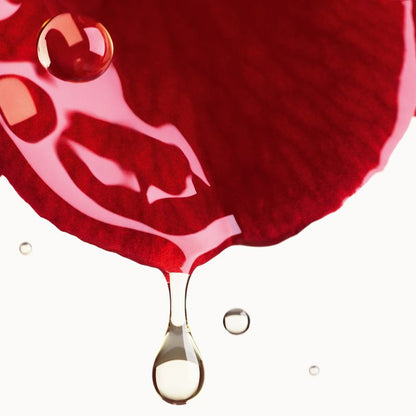 CHANEL N°1 DE CHANEL CREMA ALLA CAMELIA ROSSA RIMPOLPARE - LEVIGARE - PROTEGGERE