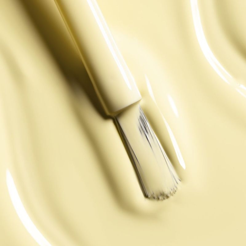 CHANEL Le Vernis Colore E Brillantezza Lunga Tenuta