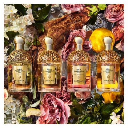 Guerlain AQUA ALLEGORIA BOSCA VANILLA FORTE - EAU DE PARFUM
