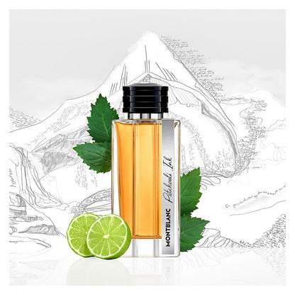 Montblanc PATCHOULI INK DARK WOODS EAU DE PARFUM