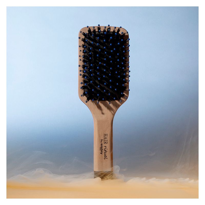 Sisley Hair Rituel La Brosse De Poche Brillance & Douceur