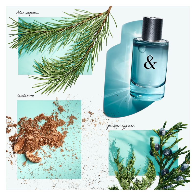 Tiffany Tiffany & Love For Him Eau De Toilette