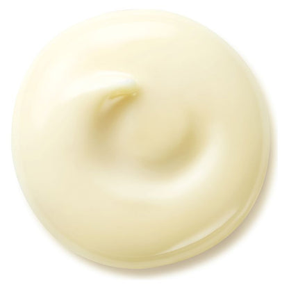 Shiseido Benefiance Wrinkle Smoothing Day Cream Spf25