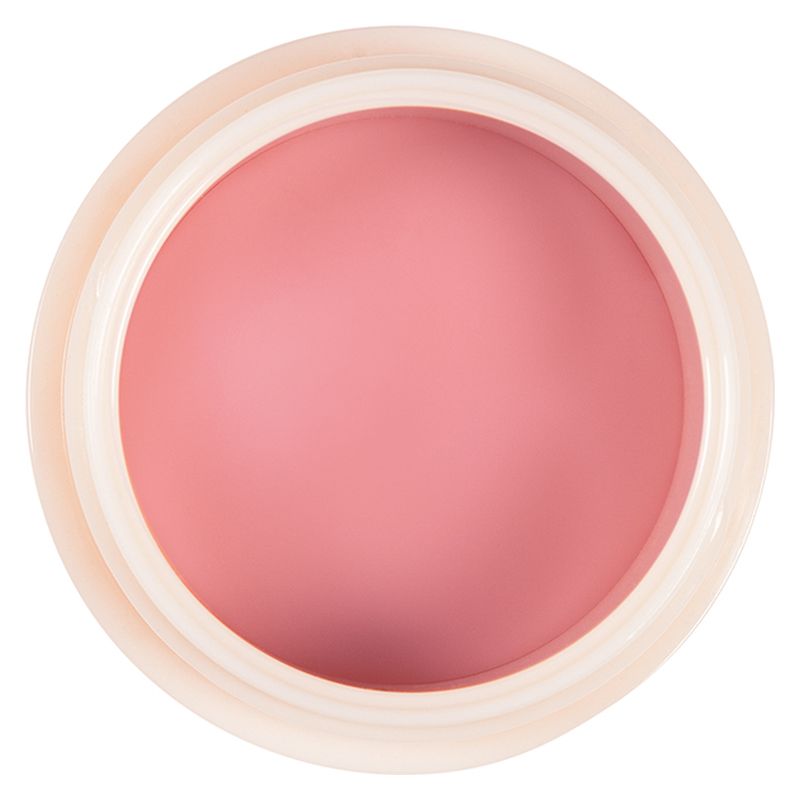 Diego dalla Palma Repair My Lips - Maschera Labbra Riparatrice