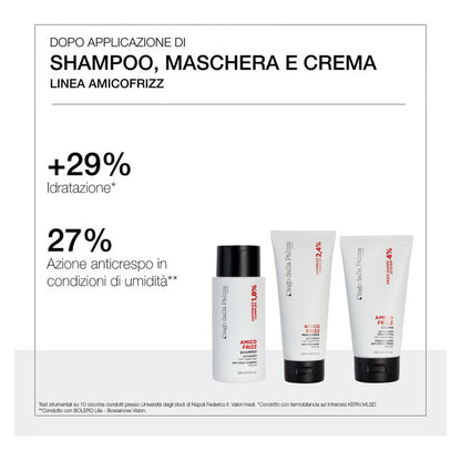 Diego dalla Palma Amico Frizz Shampoo Anticrespo