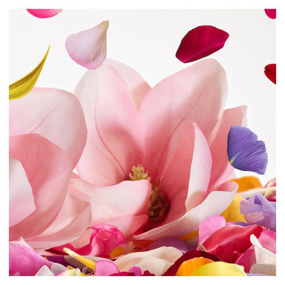 Dolce & Gabbana DOLCE MAGNOLIA EAU DE PARFUM