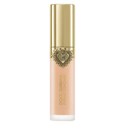 Dolce & Gabbana Everlast Concealer