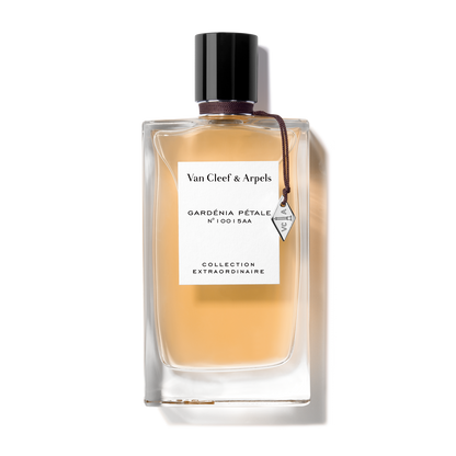 Gardenia Petale