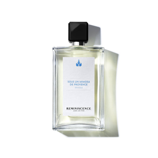 Sous un Mimosa de Provence